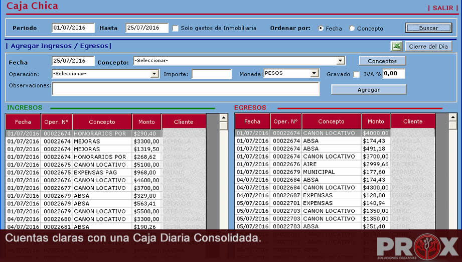 Caja Diaria consolidada